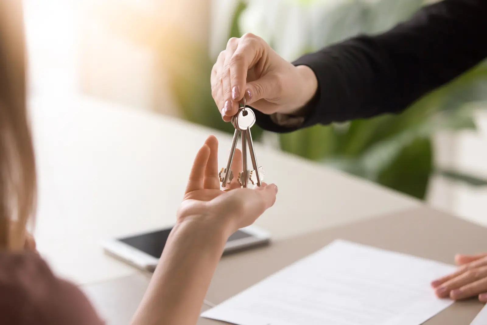 How to Create a Lease Agreement That Stands Up in Court